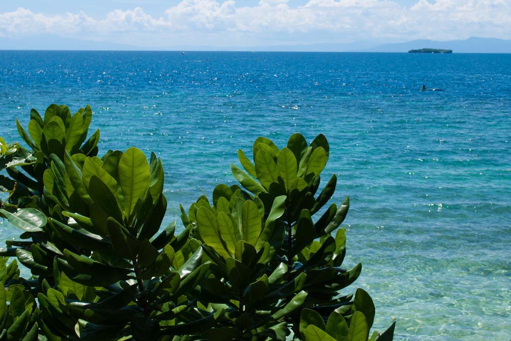 Quo Vadis Dive Resort Moalboal Exterior foto