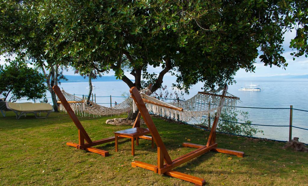 Quo Vadis Dive Resort Moalboal Exterior foto